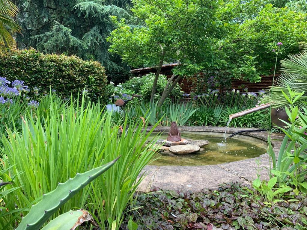 Maison En Pierre Dans Son Nid De Verdure Roz-Landrieux Luaran gambar