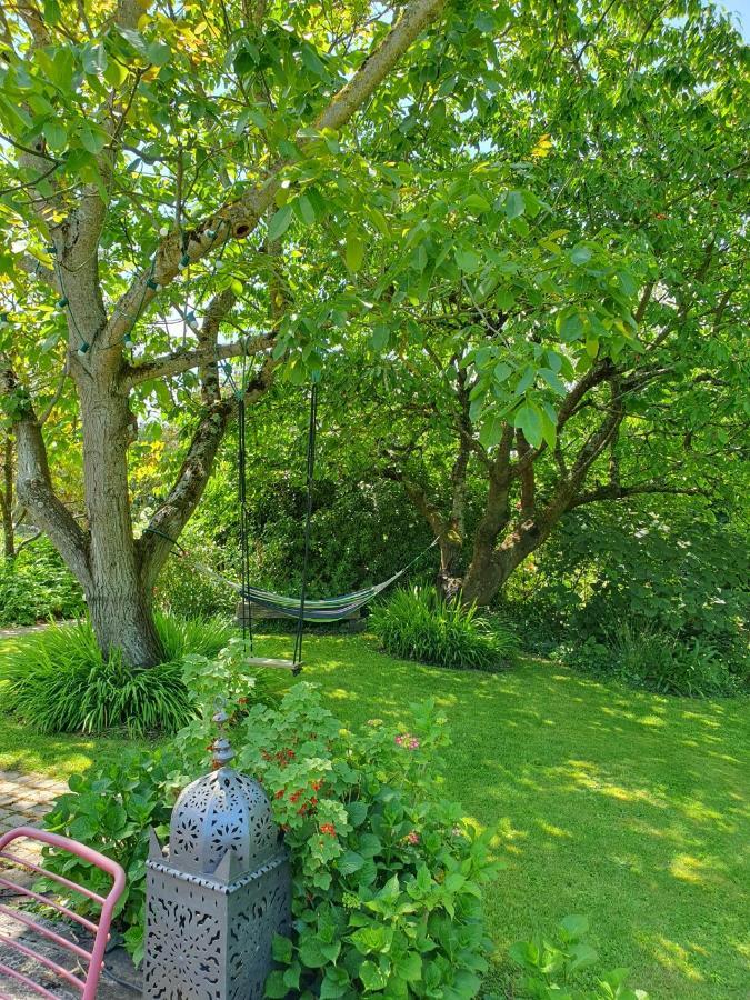 Maison En Pierre Dans Son Nid De Verdure Roz-Landrieux Luaran gambar