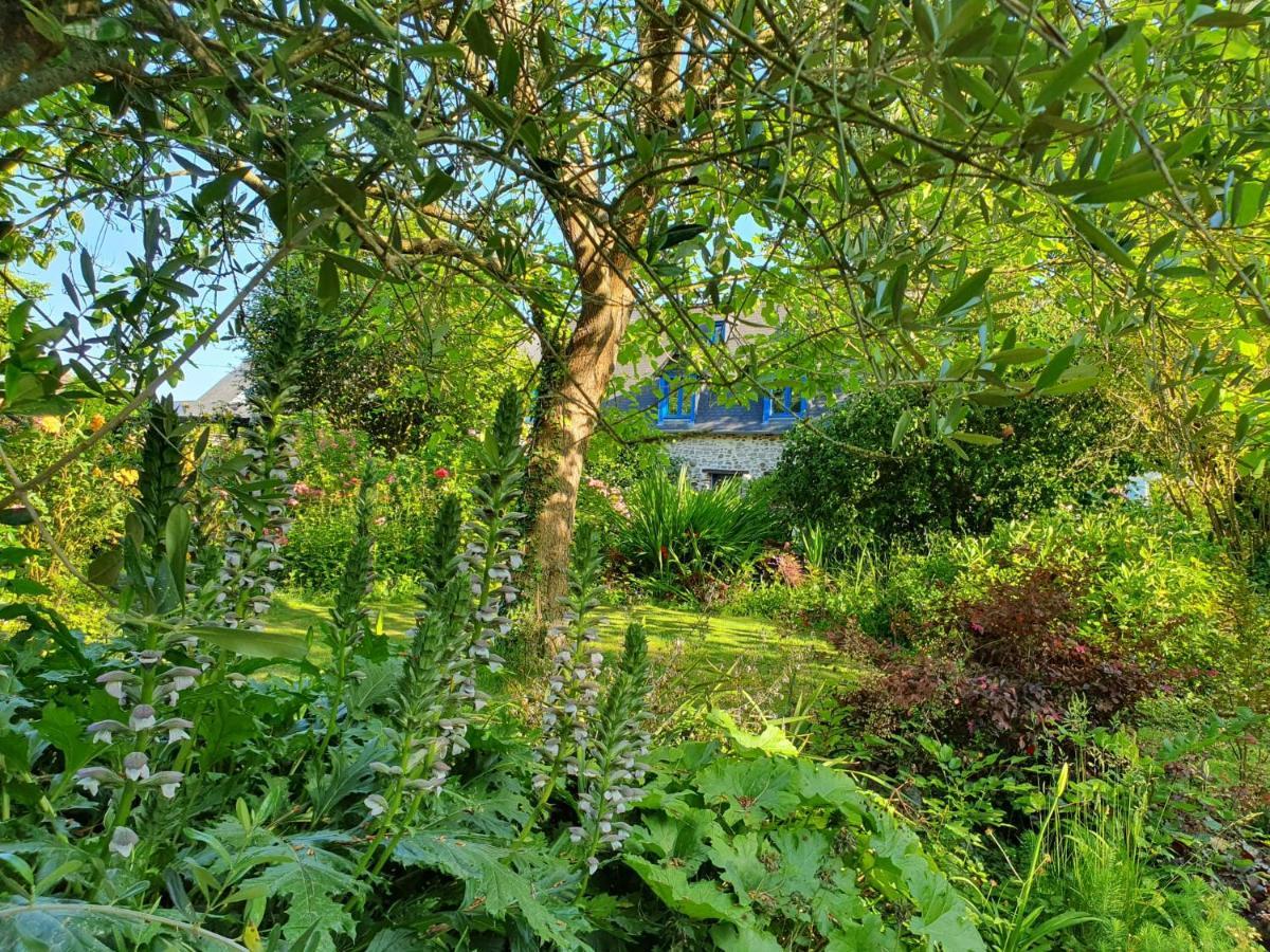 Maison En Pierre Dans Son Nid De Verdure Roz-Landrieux Luaran gambar