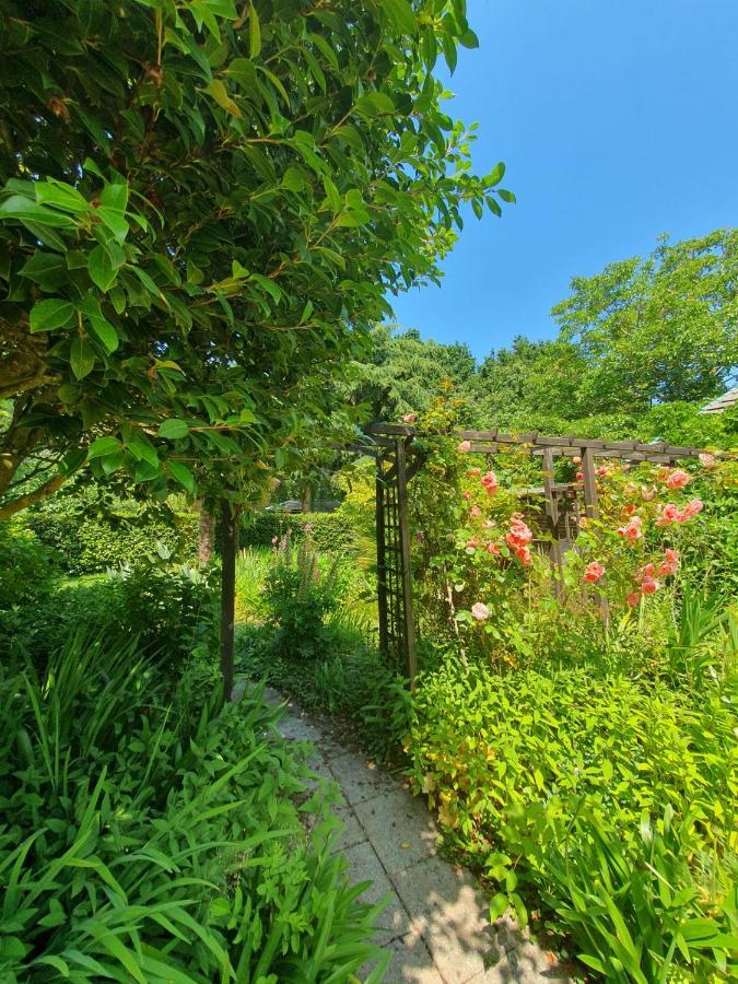 Maison En Pierre Dans Son Nid De Verdure Roz-Landrieux Luaran gambar