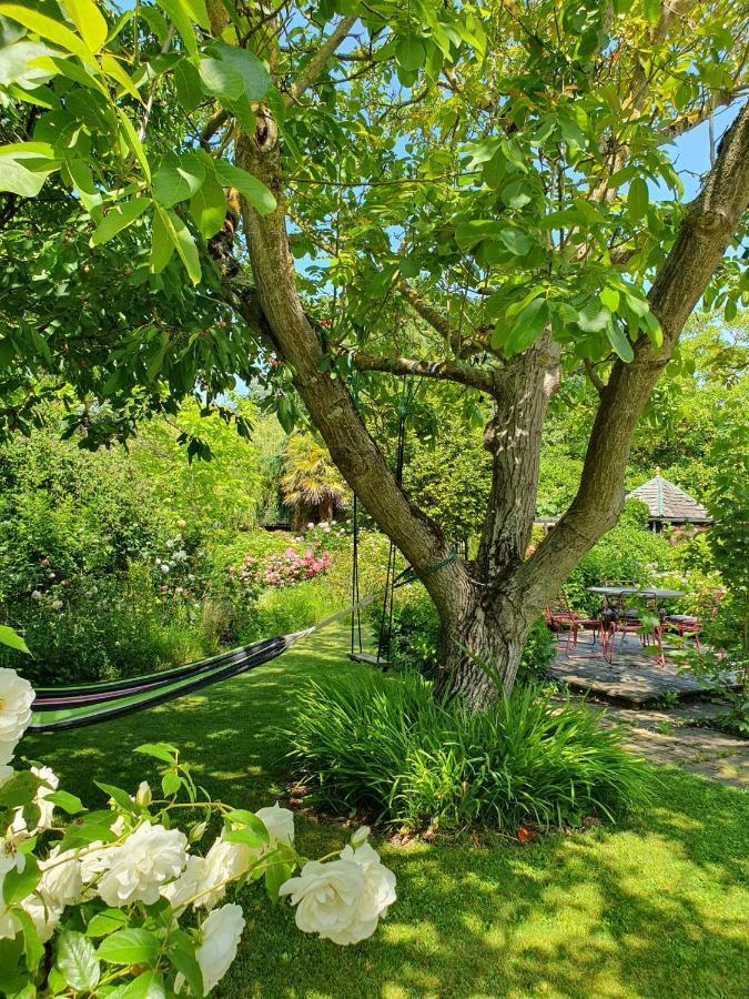 Maison En Pierre Dans Son Nid De Verdure Roz-Landrieux Luaran gambar